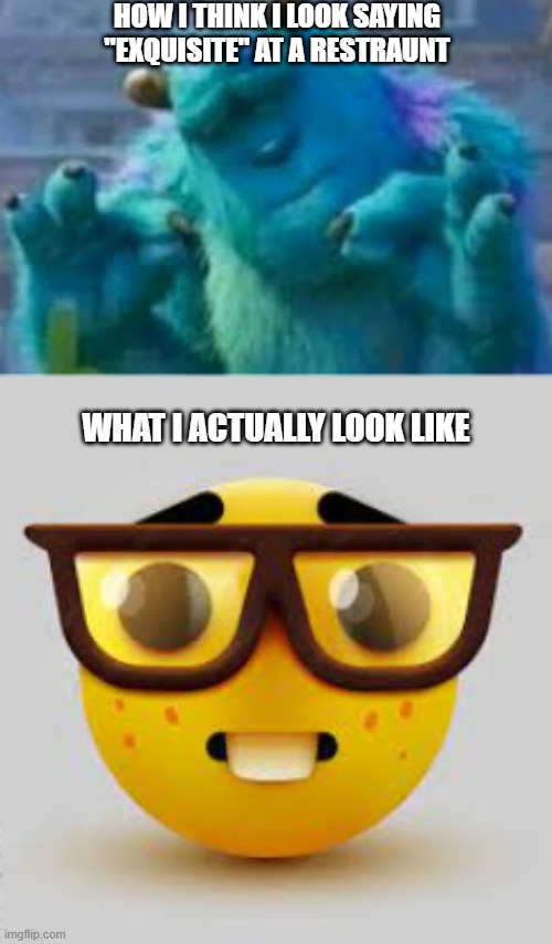 true | HOW I THINK I LOOK SAYING "EXQUISITE" AT A RESTRAUNT; WHAT I ACTUALLY LOOK LIKE | image tagged in fun | made w/ Imgflip meme maker