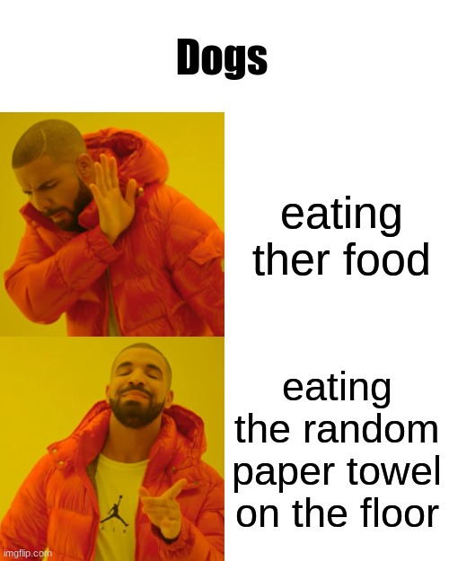 dogs be like | Dogs; eating ther food; eating the random paper towel on the floor | image tagged in memes,drake hotline bling | made w/ Imgflip meme maker
