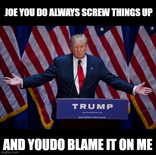 Donald Trump | JOE YOU DO ALWAYS SCREW THINGS UP AND YOUDO BLAME IT ON ME | image tagged in donald trump | made w/ Imgflip meme maker