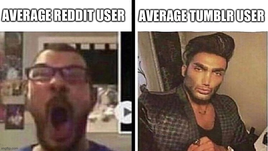 Average Reddit user vs Average Tunblr User | AVERAGE TUMBLR USER; AVERAGE REDDIT USER | image tagged in virgin vs chad,reddit,tumblr,scumbag redditor,so true memes,virgin and chad | made w/ Imgflip meme maker