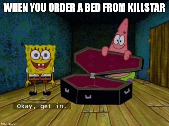 Okay Get In | WHEN YOU ORDER A BED FROM KILLSTAR | image tagged in okay get in,memes,goth memes | made w/ Imgflip meme maker