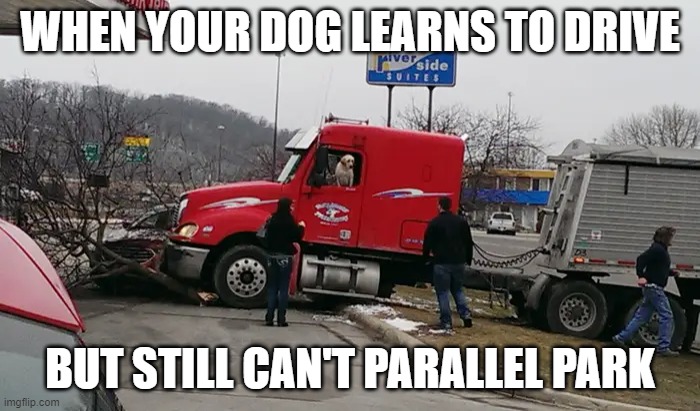 Trucker Dog | WHEN YOUR DOG LEARNS TO DRIVE; BUT STILL CAN'T PARALLEL PARK | image tagged in semi,truck driver,trucking,dog | made w/ Imgflip meme maker