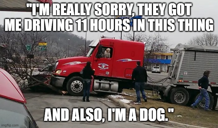 Truck Driving Dog | "I'M REALLY SORRY, THEY GOT ME DRIVING 11 HOURS IN THIS THING; AND ALSO, I'M A DOG." | image tagged in semi,trucking,truck driver,dog,otr,accident | made w/ Imgflip meme maker
