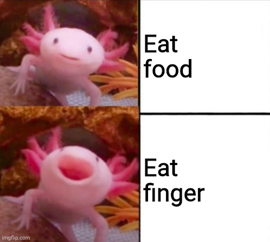 axolotl drake | Eat food; Eat finger | image tagged in axolotl drake | made w/ Imgflip meme maker