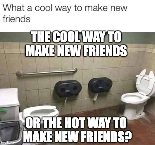 The cool way to make new friends, or the hot way to make new friends? | THE COOL WAY TO 
MAKE NEW FRIENDS; OR THE HOT WAY TO 
MAKE NEW FRIENDS? | image tagged in toilet humor,friends | made w/ Imgflip meme maker