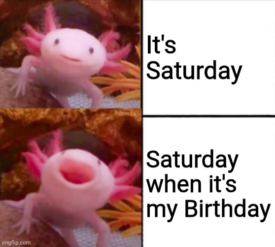axolotl drake | It's Saturday; Saturday when it's my Birthday | image tagged in axolotl drake | made w/ Imgflip meme maker