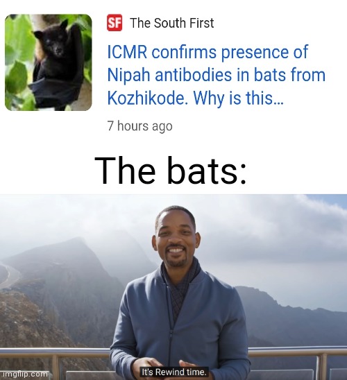 Don't worry The virus has been handled better than covid-19 | The bats: | image tagged in it's rewind time | made w/ Imgflip meme maker