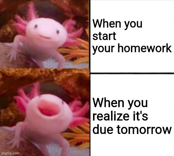 axolotl drake | When you start your homework; When you realize it's due tomorrow | image tagged in axolotl drake | made w/ Imgflip meme maker