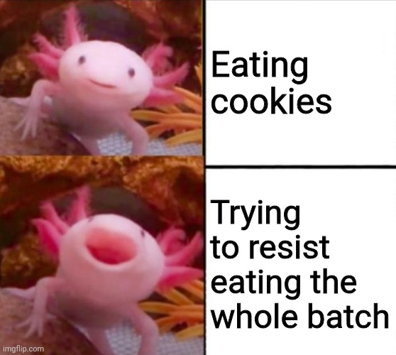 axolotl drake | Eating cookies; Trying to resist eating the whole batch | image tagged in axolotl drake | made w/ Imgflip meme maker
