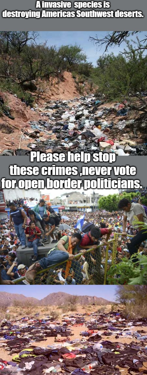 PROTECT our Deserts build the wall stop the invasive species. | A invasive  species is destroying Americas Southwest deserts. Please help stop these crimes ,never vote for open border politicians. | image tagged in democrats,psychopaths and serial killers | made w/ Imgflip meme maker