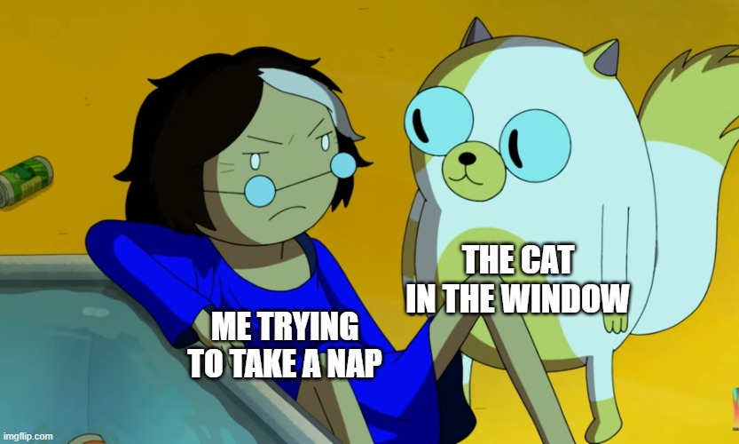 . | THE CAT IN THE WINDOW; ME TRYING TO TAKE A NAP | image tagged in me and the cat | made w/ Imgflip meme maker