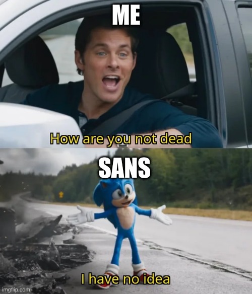 Sonic I have no idea | ME; SANS | image tagged in sonic i have no idea | made w/ Imgflip meme maker