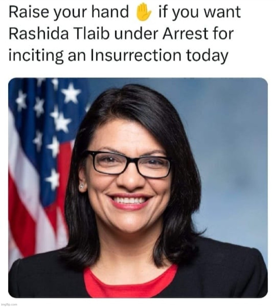 #NoMoreGoatShaggers! | image tagged in goat shagger,rashida tlaib,congresswoman,sedition,treason,insurrection | made w/ Imgflip meme maker