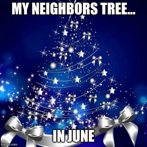literally its so dristarcting... from homework | MY NEIGHBORS TREE... IN JUNE | image tagged in merry christmas,christmas,june | made w/ Imgflip meme maker