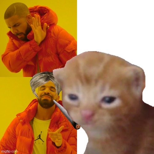 Drake Hotline Bling Meme | image tagged in memes,drake hotline bling | made w/ Imgflip meme maker