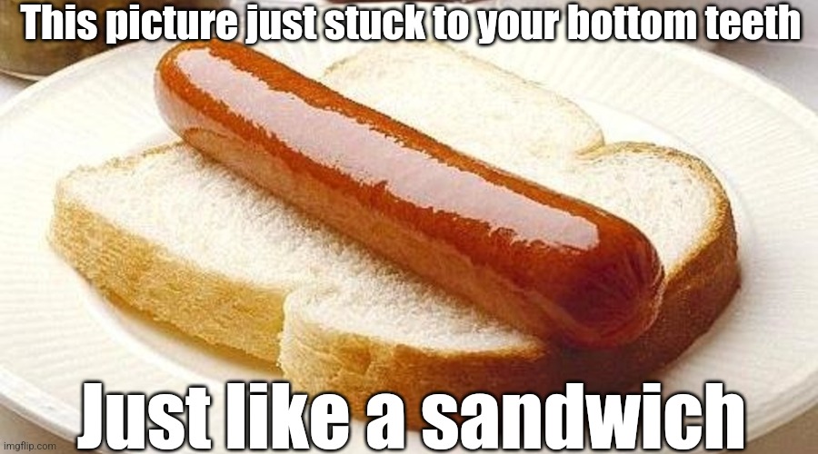 Only some know this struggle | This picture just stuck to your bottom teeth; Just like a sandwich | image tagged in hotdog,sandwich,bread | made w/ Imgflip meme maker