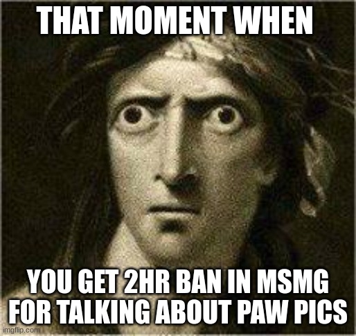 that moment when | THAT MOMENT WHEN; YOU GET 2HR BAN IN MSMG FOR TALKING ABOUT PAW PICS | image tagged in that moment when | made w/ Imgflip meme maker