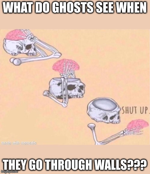 Skeleton Shut Up | WHAT DO GHOSTS SEE WHEN; THEY GO THROUGH WALLS??? | image tagged in skeleton shut up | made w/ Imgflip meme maker