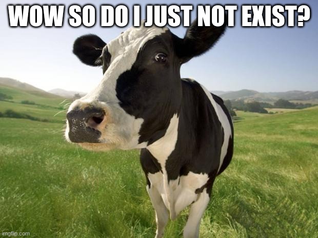 cow | WOW SO DO I JUST NOT EXIST? | image tagged in cow | made w/ Imgflip meme maker