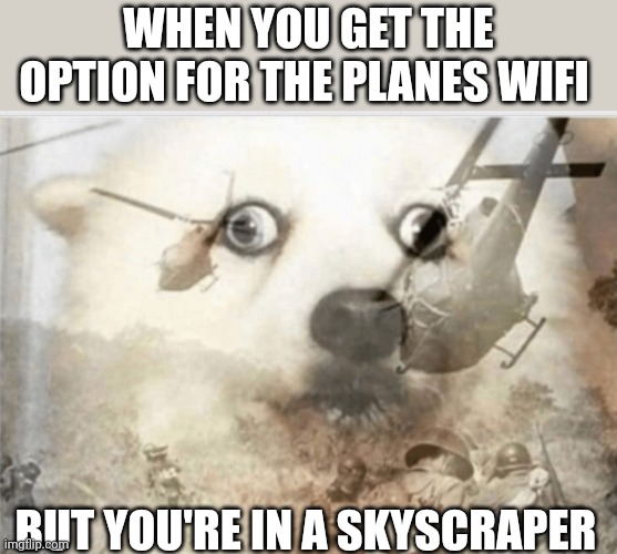 PTSD dog | WHEN YOU GET THE OPTION FOR THE PLANES WIFI; BUT YOU'RE IN A SKYSCRAPER | image tagged in ptsd dog | made w/ Imgflip meme maker
