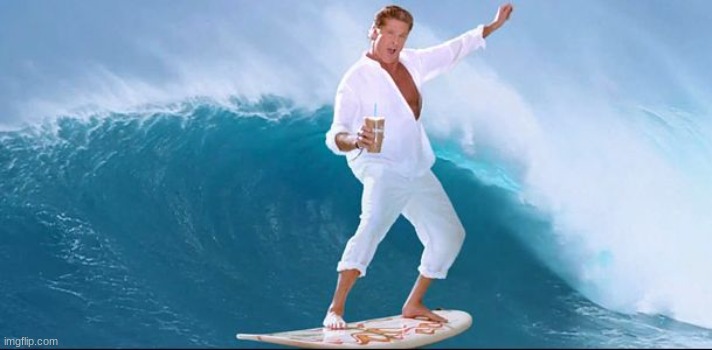 The Hoff on Surfboard | image tagged in the hoff on surfboard | made w/ Imgflip meme maker