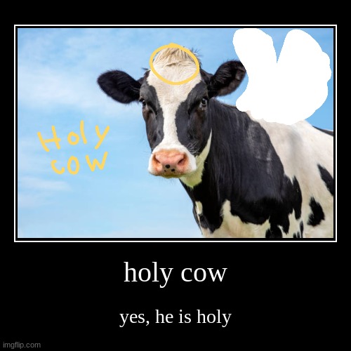 HOLY COW | holy cow | yes, he is holy | image tagged in funny,demotivationals | made w/ Imgflip demotivational maker