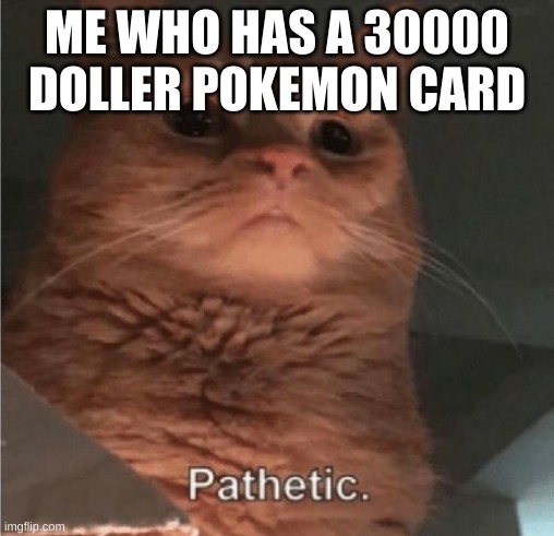 Pathetic Cat | ME WHO HAS A 30000 DOLLER POKEMON CARD | image tagged in pathetic cat | made w/ Imgflip meme maker