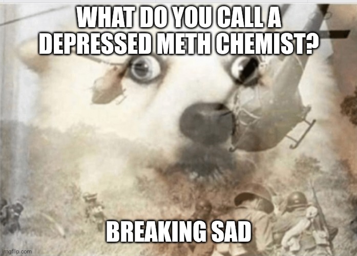 Breaking sad | WHAT DO YOU CALL A DEPRESSED METH CHEMIST? BREAKING SAD | image tagged in ptsd dog,breaking bad,puns,jokes,jpfan102504 | made w/ Imgflip meme maker