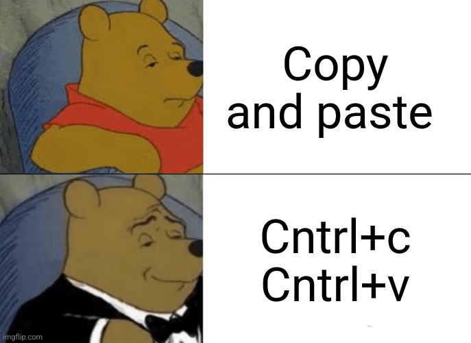 Copy and paste | Copy and paste; Cntrl+c
Cntrl+v | image tagged in memes,tuxedo winnie the pooh,computer | made w/ Imgflip meme maker