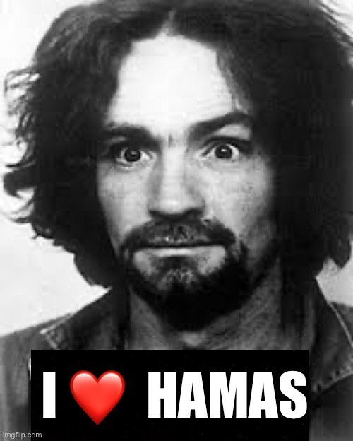 Birds of a feather flock together | I ❤️  HAMAS | image tagged in democrats,anti-semite and a racist | made w/ Imgflip meme maker