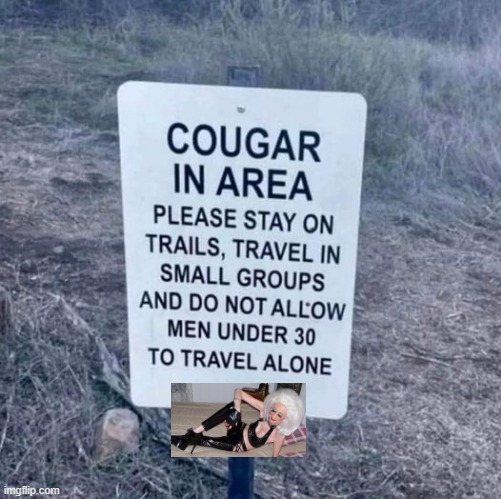 Beware Cougars | image tagged in meme,funny | made w/ Imgflip meme maker
