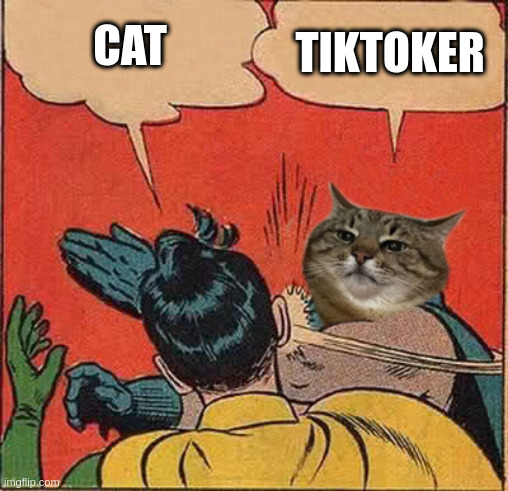 TikTok generation | TIKTOKER; CAT | image tagged in stepanman slapping robin,tiktok,cat,batman slapping robin,batman,stepan cat | made w/ Imgflip meme maker