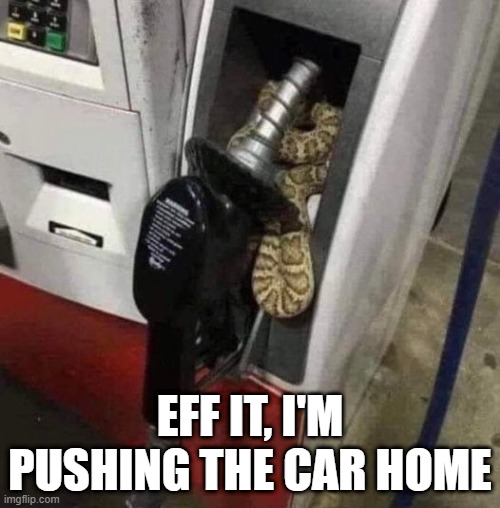 Nope Rope | EFF IT, I'M PUSHING THE CAR HOME | image tagged in funny,memes | made w/ Imgflip meme maker