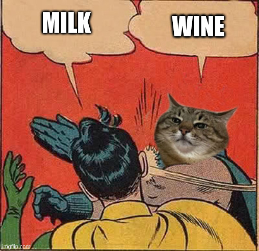 Wine | MILK; WINE | image tagged in stepanman slapping robin,milk,batman slapping robin,stepan cat,wine,cat | made w/ Imgflip meme maker