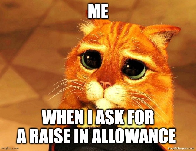 May I please have a raise in allowance??? | ME; WHEN I ASK FOR A RAISE IN ALLOWANCE | image tagged in puss in boots shrek cat begging,chores | made w/ Imgflip meme maker