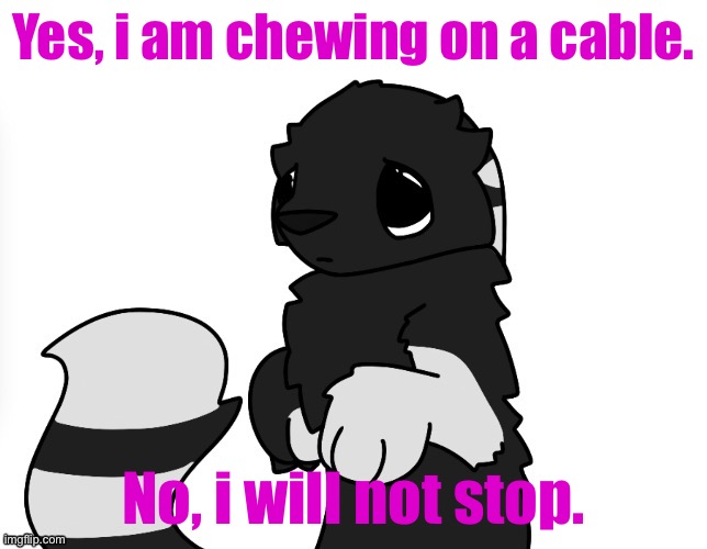 EEEHEHEHHEH | Yes, i am chewing on a cable. No, i will not stop. | image tagged in zad | made w/ Imgflip meme maker