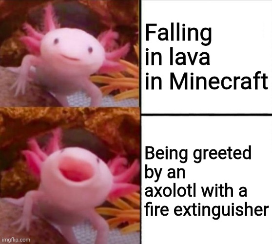 axolotl drake | Falling in lava in Minecraft; Being greeted by an axolotl with a fire extinguisher | image tagged in axolotl drake | made w/ Imgflip meme maker
