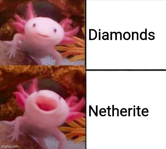 axolotl drake | Diamonds; Netherite | image tagged in axolotl drake | made w/ Imgflip meme maker