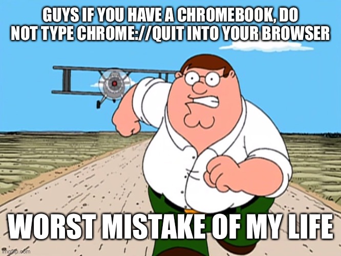Peter Griffin running away | GUYS IF YOU HAVE A CHROMEBOOK, DO NOT TYPE CHROME://QUIT INTO YOUR BROWSER; WORST MISTAKE OF MY LIFE | image tagged in peter griffin running away | made w/ Imgflip meme maker