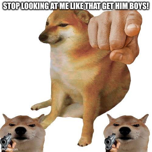 Oh shi- | STOP LOOKING AT ME LIKE THAT GET HIM BOYS! | image tagged in cheems | made w/ Imgflip meme maker