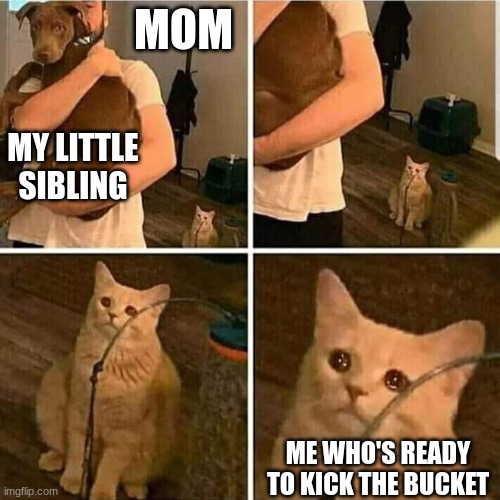 Sad Cat Holding Dog | MOM; MY LITTLE SIBLING; ME WHO'S READY TO KICK THE BUCKET | image tagged in sad cat holding dog,depression | made w/ Imgflip meme maker
