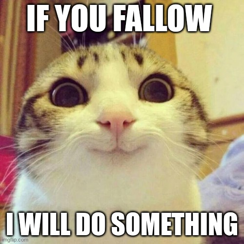 Smiling Cat | IF YOU FALLOW; I WILL DO SOMETHING | image tagged in memes,smiling cat | made w/ Imgflip meme maker