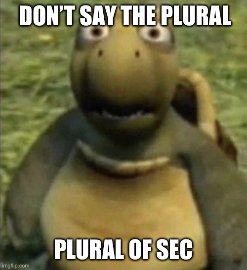 Turtle from over the hedge | DON’T SAY THE PLURAL; PLURAL OF SEC | image tagged in turtle from over the hedge | made w/ Imgflip meme maker