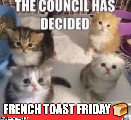 Friday facts | FRENCH TOAST FRIDAY 🍞 | image tagged in the council has decided lethal injection | made w/ Imgflip meme maker