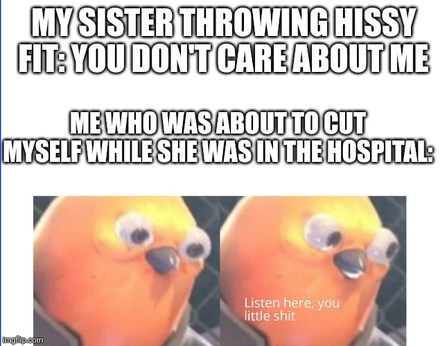 LIKE BRUHH WHY ARE SIBLINGS LIKE THIS?? | MY SISTER THROWING HISSY FIT: YOU DON'T CARE ABOUT ME; ME WHO WAS ABOUT TO CUT MYSELF WHILE SHE WAS IN THE HOSPITAL: | image tagged in listen here you little shit | made w/ Imgflip meme maker