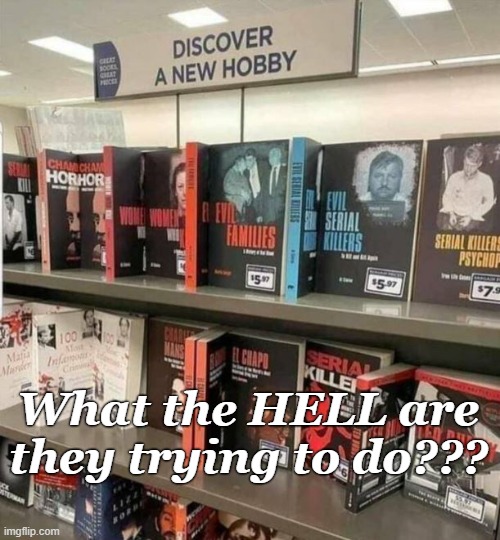 First day/Last day on the job stocking books. | What the HELL are they trying to do??? | image tagged in funny memes,books,psychopaths and serial killers | made w/ Imgflip meme maker