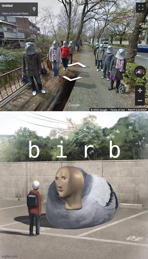 P I G E O N | image tagged in meme man birb | made w/ Imgflip meme maker