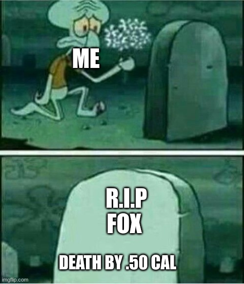 Rip to somebody | ME R.I.P 
FOX DEATH BY .50 CAL | image tagged in rip to somebody | made w/ Imgflip meme maker