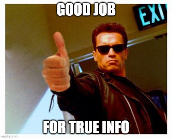 terminator thumbs up | GOOD JOB FOR TRUE INFO | image tagged in terminator thumbs up | made w/ Imgflip meme maker