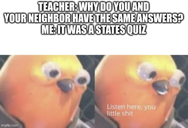 never had this happen personally, but imagine seeing this happen XD | TEACHER: WHY DO YOU AND YOUR NEIGHBOR HAVE THE SAME ANSWERS?
ME: IT WAS A STATES QUIZ | image tagged in listen here you little shit bird | made w/ Imgflip meme maker